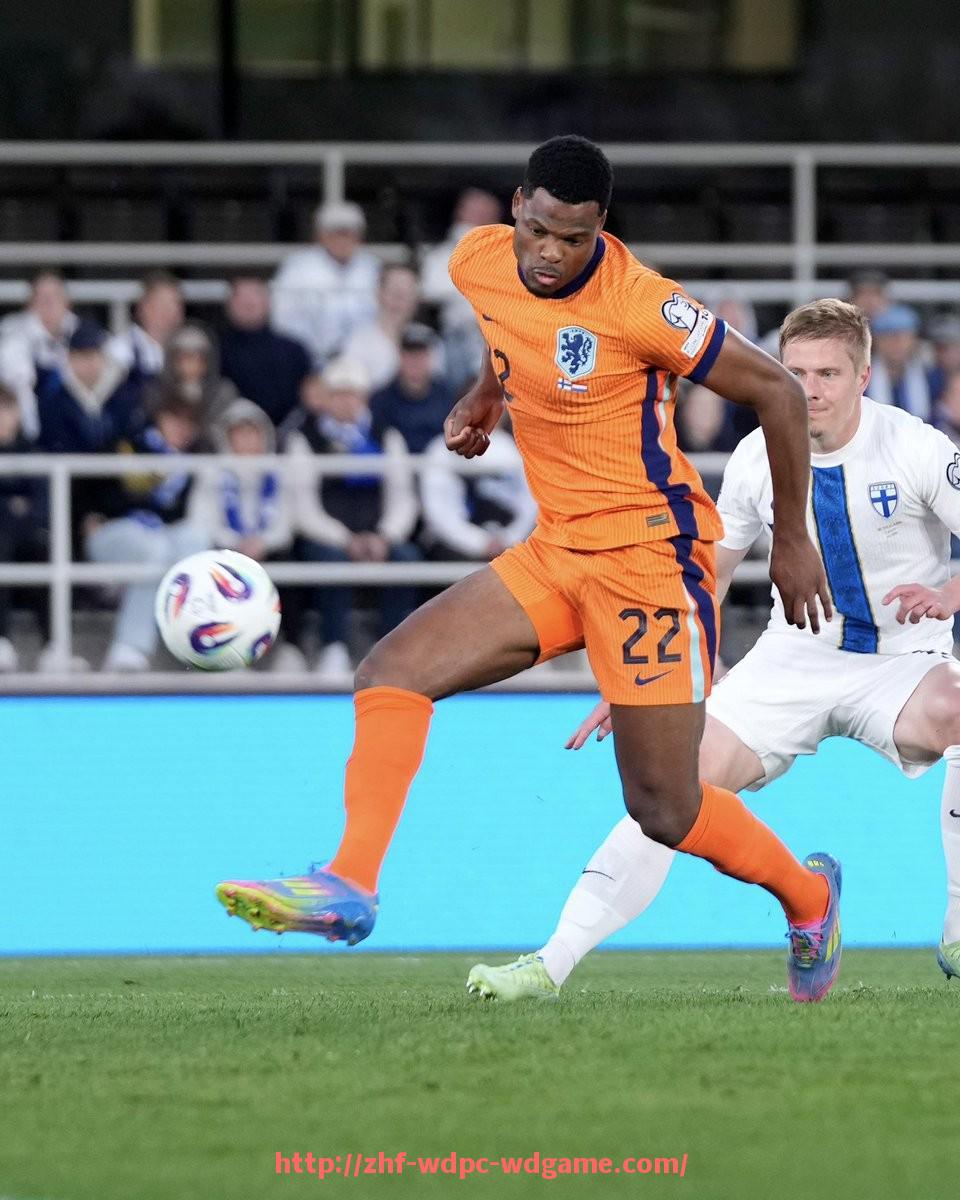 问鼎娱乐官方网站-德甲衰落球队名单汇总：辉煌与没落的两极对比